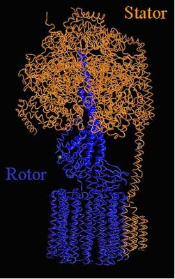 Atpase2